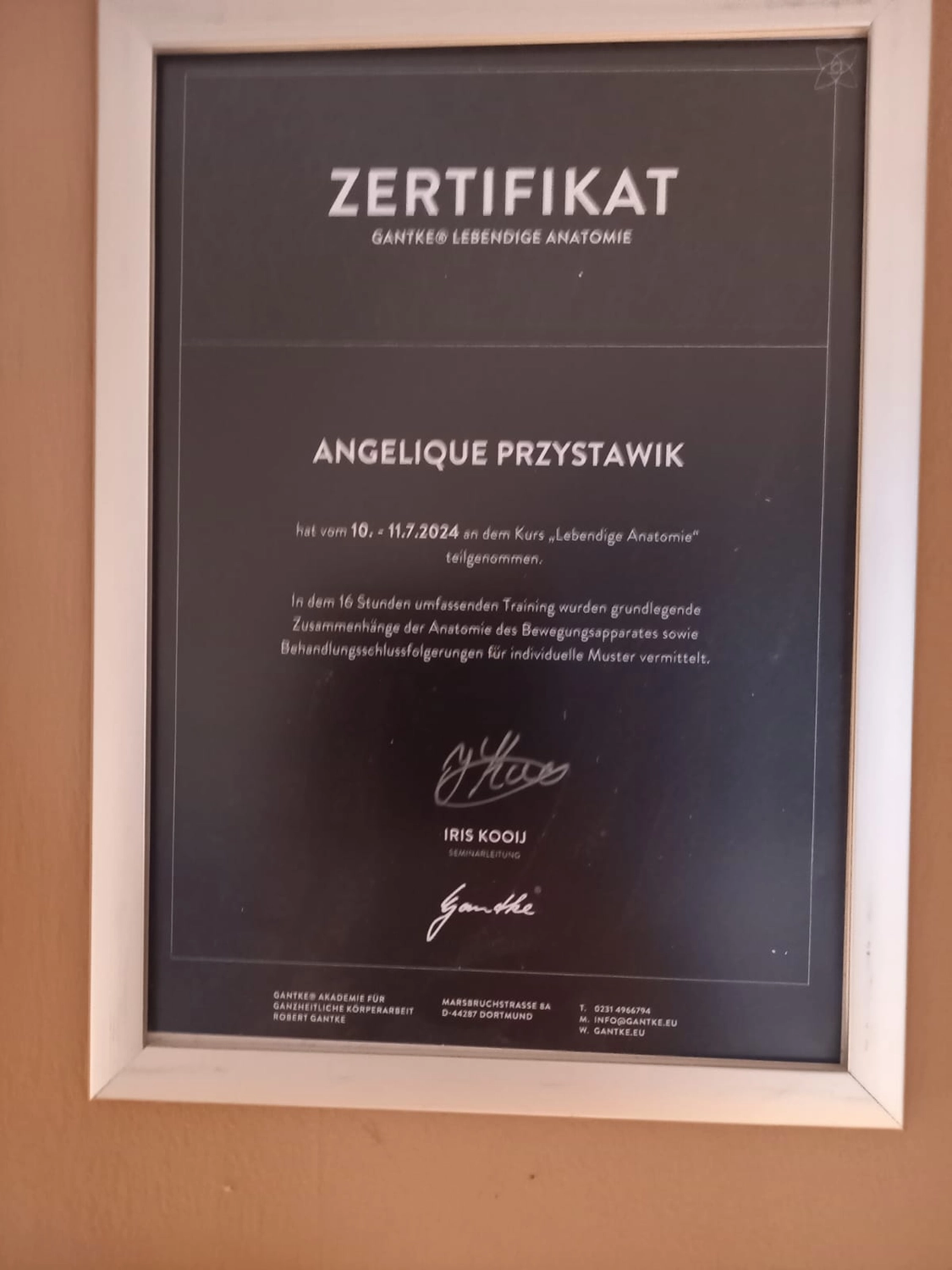 Faszientherapie Przystawik – Zertifikat