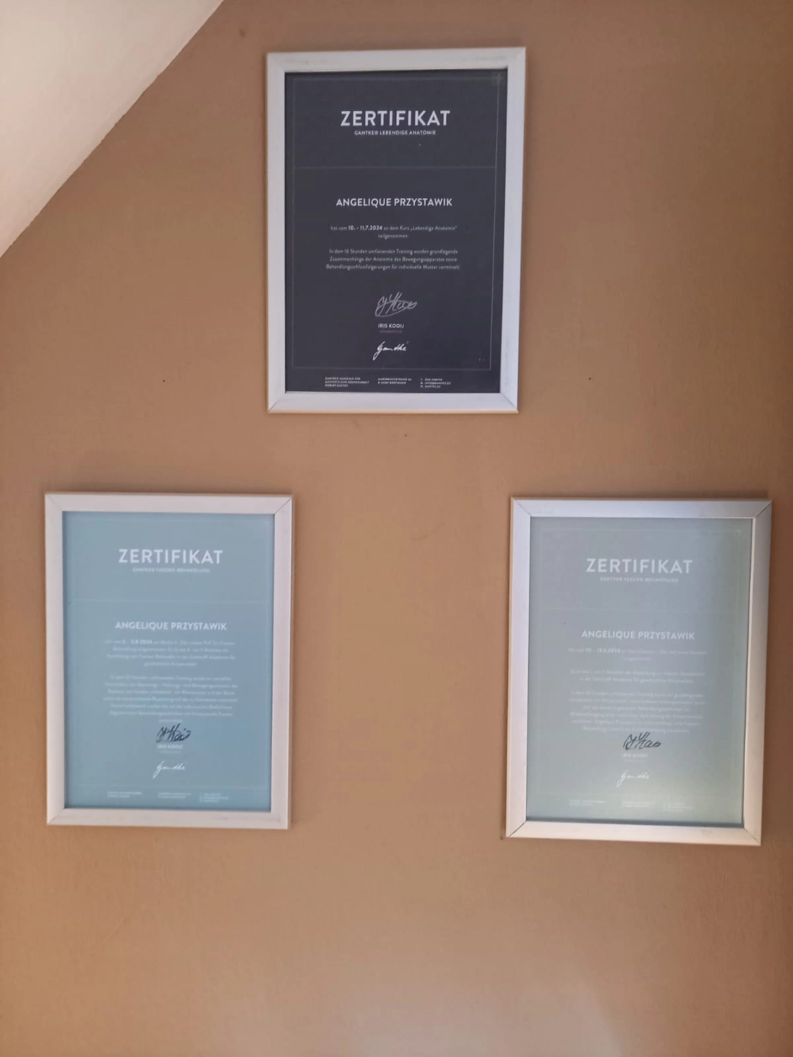 Faszientherapie Przystawik – Zertifikat